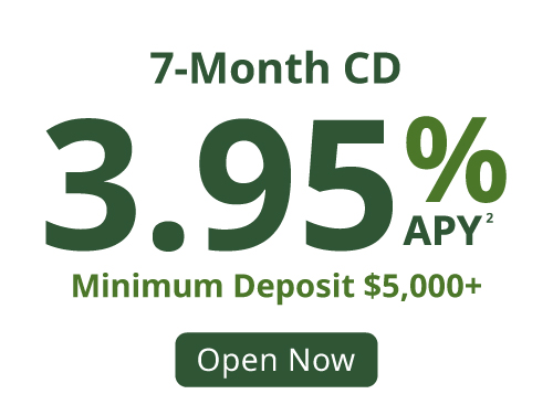 IndyOpening_WebProducts_CD-7 3.95% 7-month CD special offer